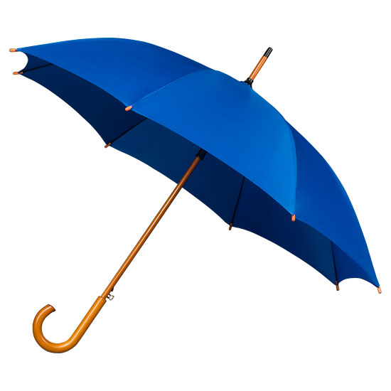 blauwe paraplu